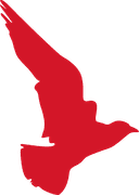 Skylar Media - Red Bird