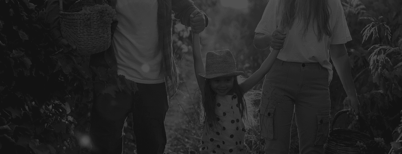 Banner Background